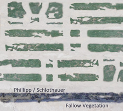 fallow vegetation cover